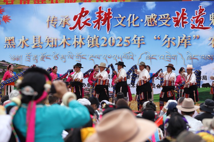 活動現(xiàn)場。黑水縣融媒體中心供圖