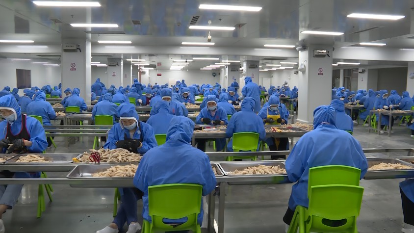 集州街道”袁方食品富民幸福工坊“的居民們正在對雞爪去骨。南江縣委宣傳部供圖