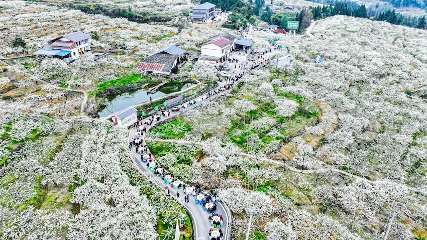 廟安鎮(zhèn)花果山。宣漢縣委宣傳部供圖