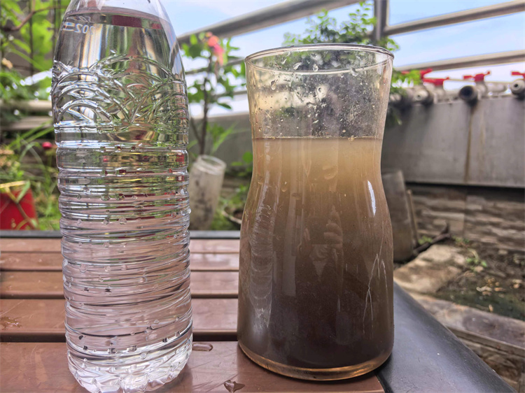 帶泥沙的污濁水和經(jīng)過(guò)處理后的水。鄭棟梁供圖
