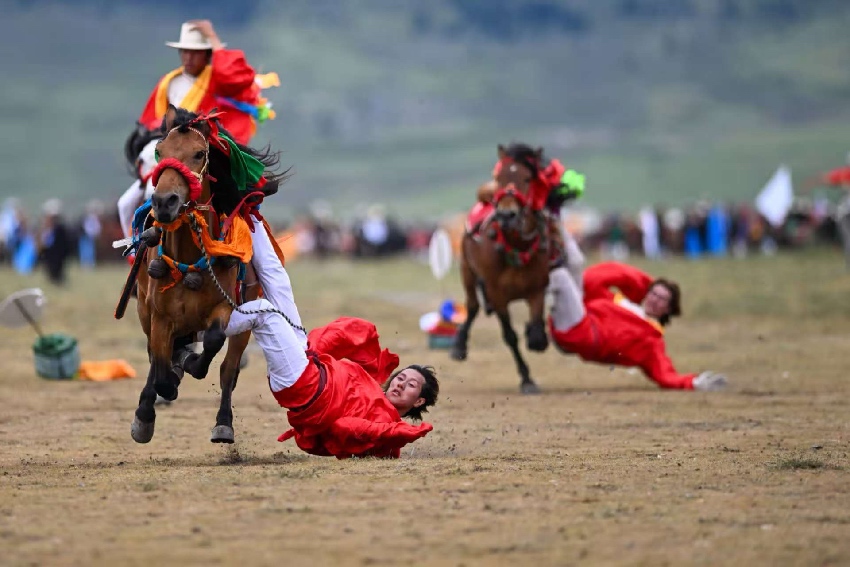 賽馬比賽現(xiàn)場。理塘縣委宣傳部供圖