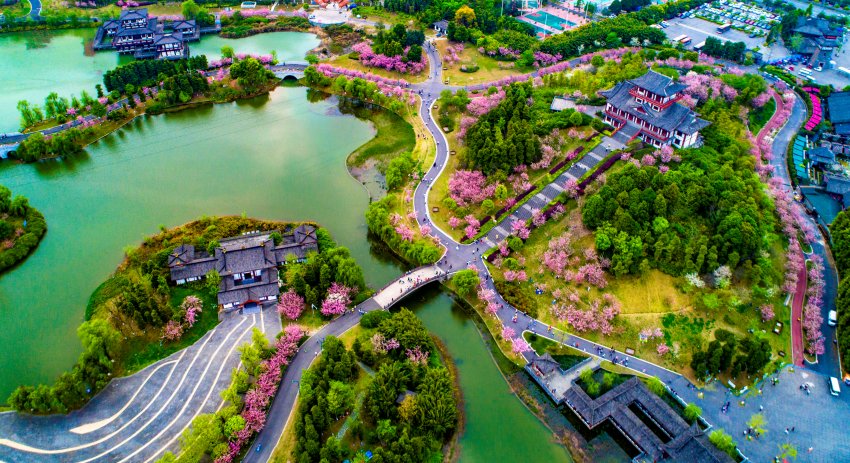 鳳凰湖濕地公園。青白江區(qū)委宣傳部供圖