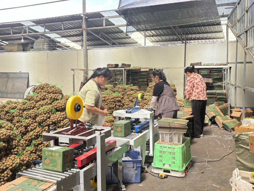 正在對(duì)核桃打包。德昌縣委宣傳部供圖
