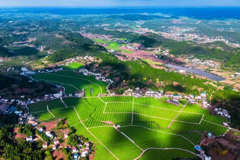 魅力檸海景區(qū)。中共安岳縣委宣傳部供圖