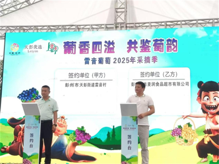 葡萄供銷簽約。趙紫妍供圖
