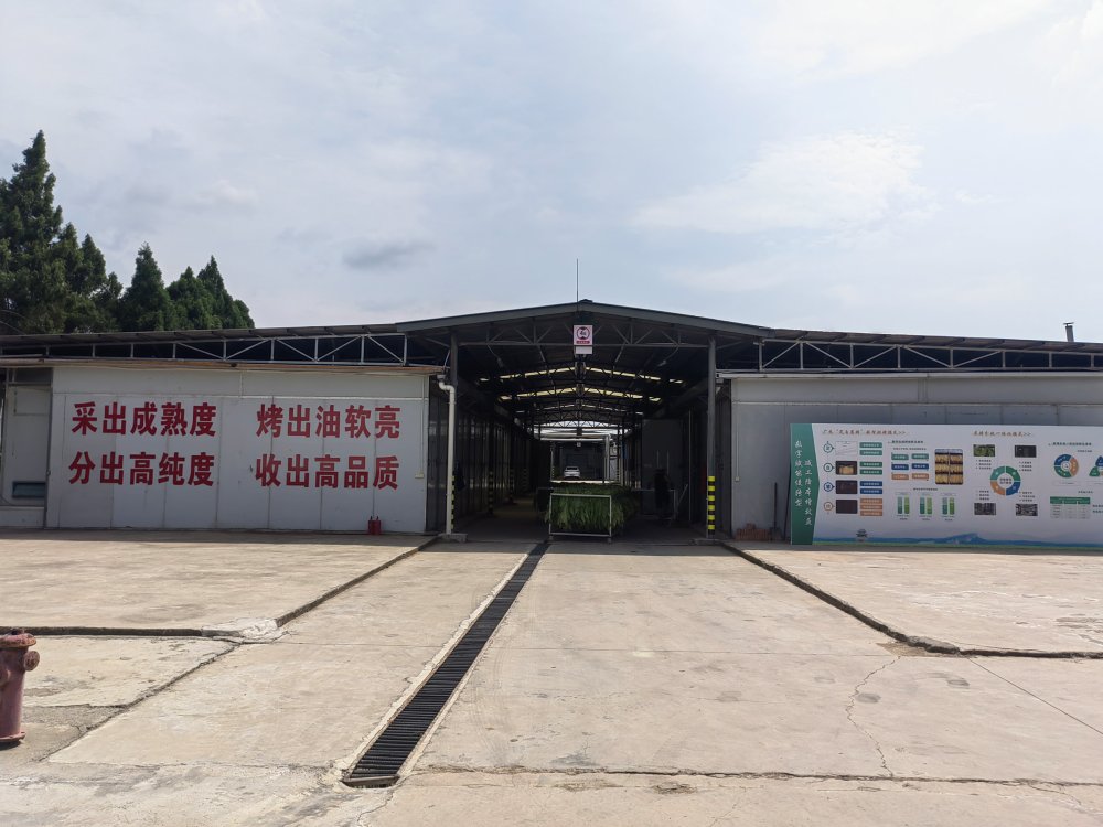 劍閣縣雙魚新能源烘烤工場。劍閣縣煙草專賣局供圖