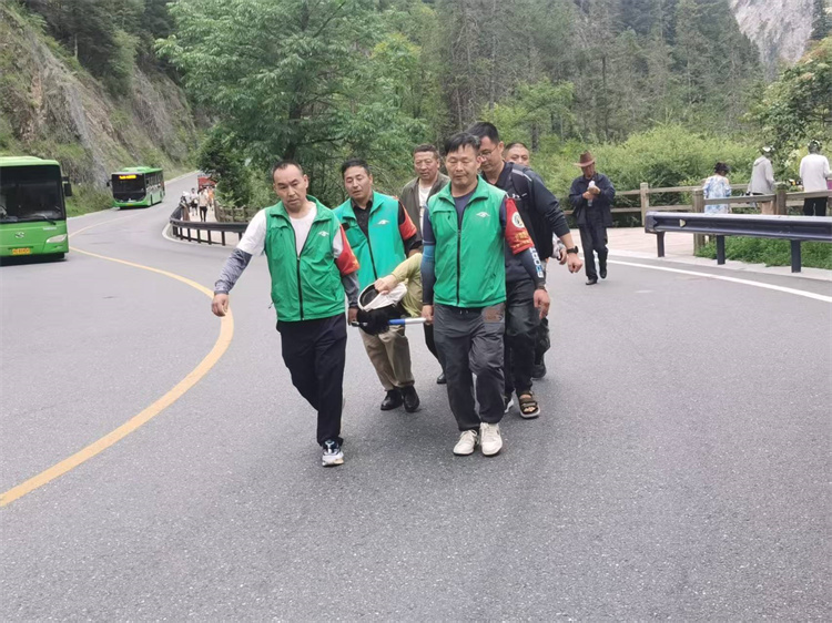 轉(zhuǎn)運高反游客。九管局供圖