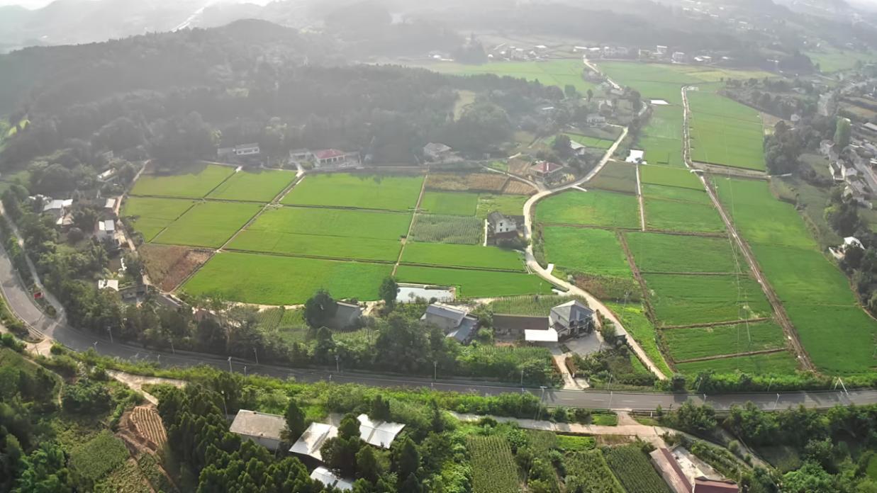 三臺(tái)縣八洞鎮(zhèn)等6個(gè)鎮(zhèn)鄉(xiāng)高標(biāo)準(zhǔn)農(nóng)田項(xiàng)目。農(nóng)發(fā)行綿陽(yáng)市分行供圖