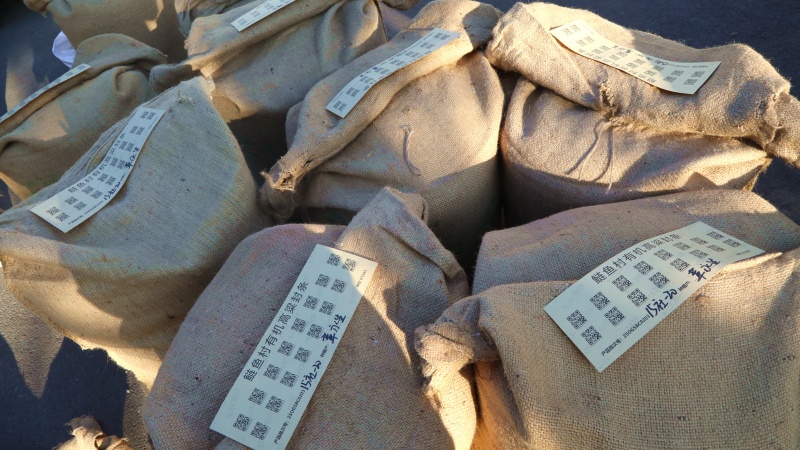 每袋收售的高粱上都貼著一張帶有二維碼的專屬封條。合江融媒供圖