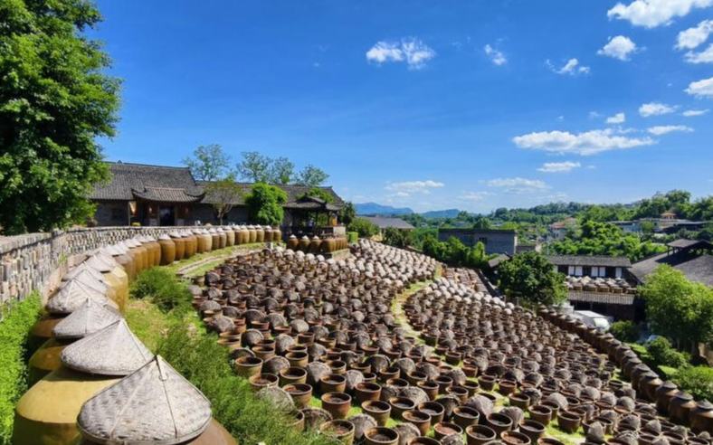 行進(jìn)中國(guó)｜非遺釀“醬”香 文旅繪新卷