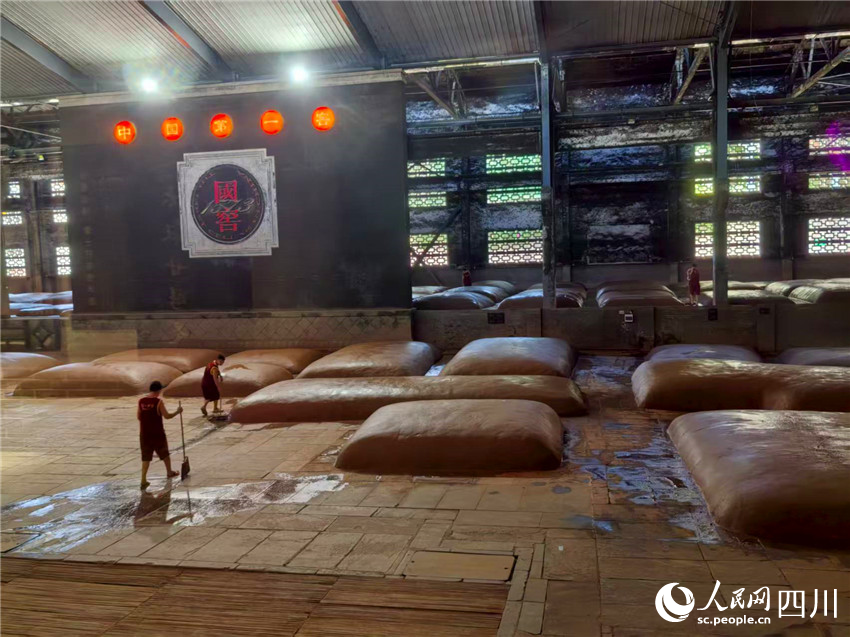 國(guó)寶窖池內(nèi)，工人在勞動(dòng)。人民網(wǎng)記者 劉海天攝