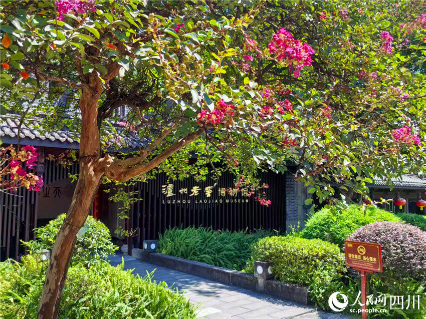鮮花掩映的瀘州老窖博物館。人民網(wǎng)記者 劉海天攝