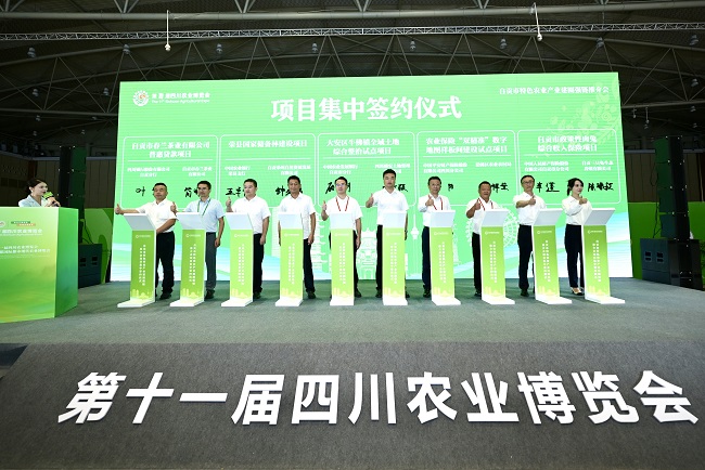 簽約現(xiàn)場。鄭楊供圖