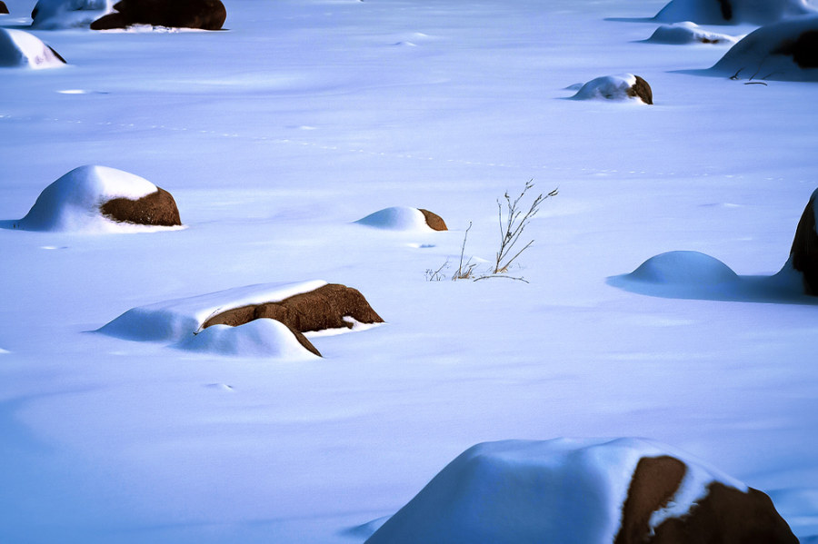 深刻認(rèn)識用好用足我國經(jīng)濟(jì)發(fā)展優(yōu)勢022024北京圖書訂貨會在北京開幕。本屆訂貨會以“堅(jiān)定文化自信，鑄就出版新輝煌”為主題，集中展示圖書40余萬種。