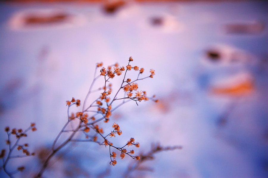 標(biāo)題標(biāo)題標(biāo)題標(biāo)題標(biāo)題標(biāo)題標(biāo)題01