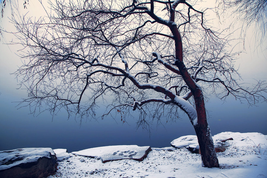 標(biāo)題標(biāo)題標(biāo)題標(biāo)題標(biāo)題標(biāo)題標(biāo)題001