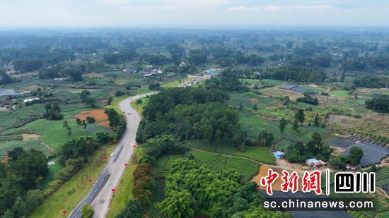 成都市蒲江縣。(唐啟浩 攝)