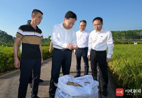 8月21日，省委書記王曉暉到榮縣賴河壩糧油現(xiàn)代農(nóng)業(yè)園區(qū)調(diào)研，察看水稻成熟及收割情況，了解秋糧穩(wěn)產(chǎn)增產(chǎn)及助農(nóng)增收情況。