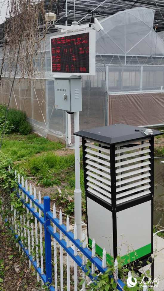 在福建省漳州市龍海區(qū)東園鎮(zhèn)港邊村育苗基地，佇立在田間的“AI蟲情測報儀”。人民網 李昌乾攝