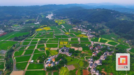 微信圖片_2025-08-10_111908_623.jpg